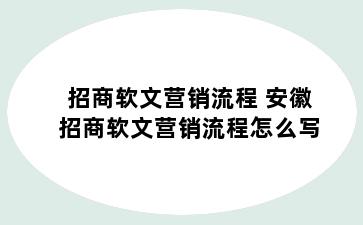 招商软文营销流程 安徽招商软文营销流程怎么写